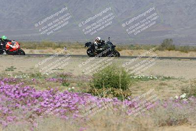 media/Feb-04-2023-SoCal Trackdays (Sat) [[8a776bf2c3]]/Turn 15 Inside Blooming (1050am)/